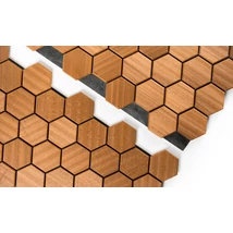 3D thermokezelt szauna burkolat - HEXA